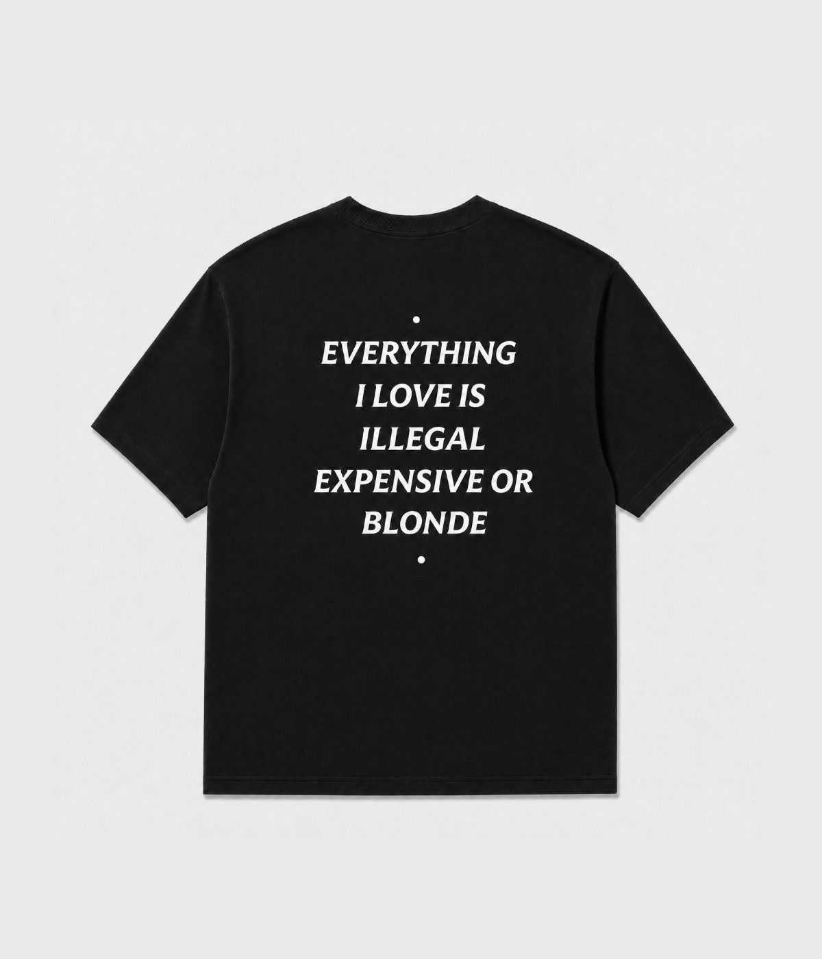 EVERYTHING I LOVE IS ILLEGAL SHIRT