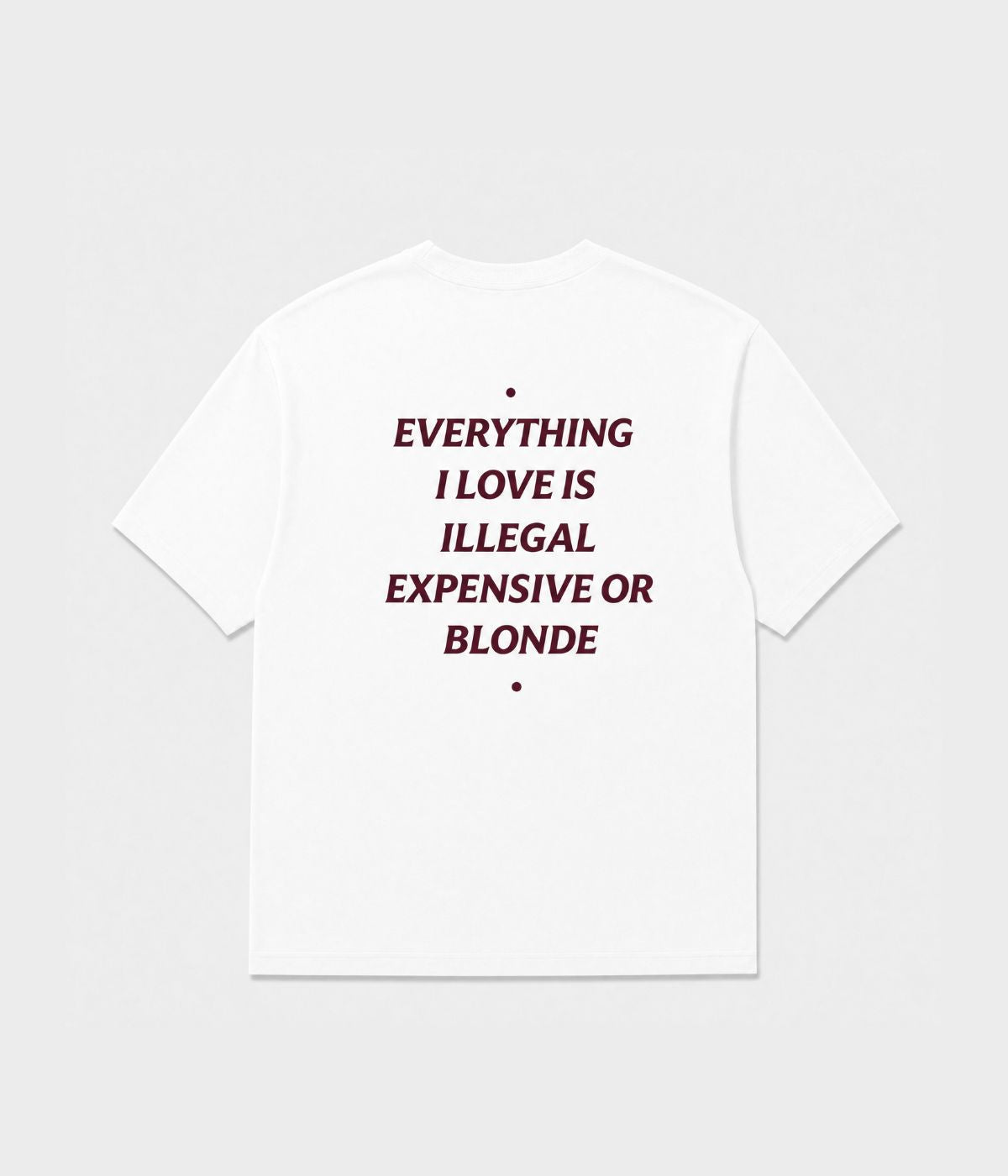 EVERYTHING I LOVE IS ILLEGAL SHIRT
