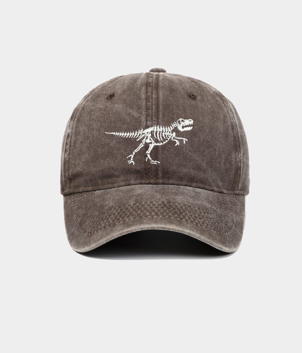 WASHED DINOSAUR.
